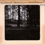 1963_07_grandes_diapos_049_larchant