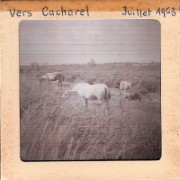 1963_08_grandes_diapos_076_vers_cacharel