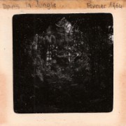 1964_02_grandes_diapos_084_dans_la_jungle