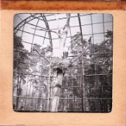 1964_02_grandes_diapos_092_zoo_de_vincennes