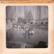 1964_02_grandes_diapos_093_zoo_de_vincennes