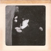 1964_02_grandes_diapos_098_zoo_de_vincennes